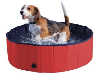 Pet Pool Swimming Bath Portable Cat Dog Foldable Puppy Bathtub Pawhut