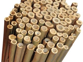 10 x 2ft (60cm) Bamboo canes