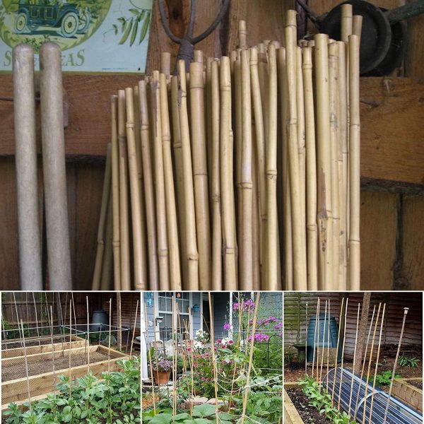 50 x 4FT Bamboo Canes Sticks 120cm - Image 3