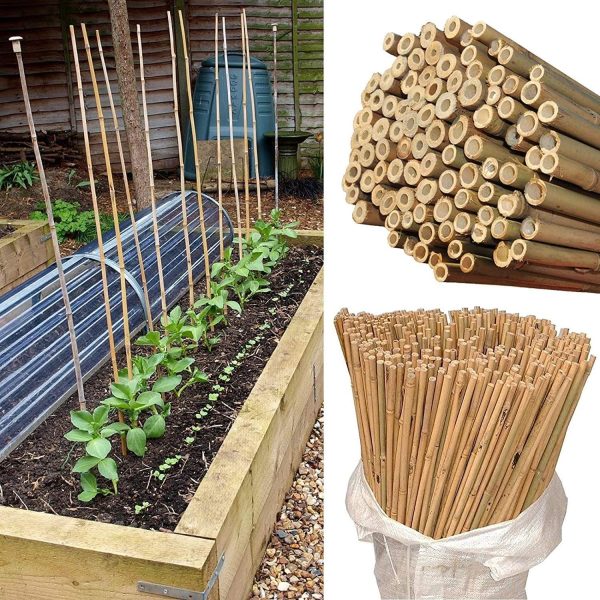 50 x 2ft (60cm) Bamboo canes - Image 2