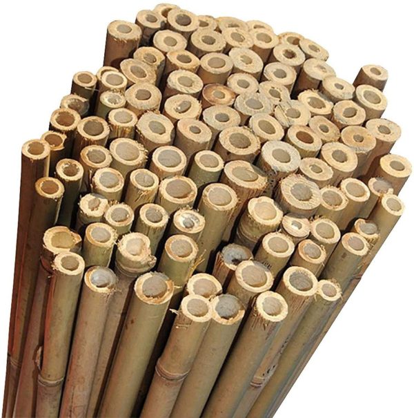 25 x 2ft (60cm) Bamboo canes - Image 7