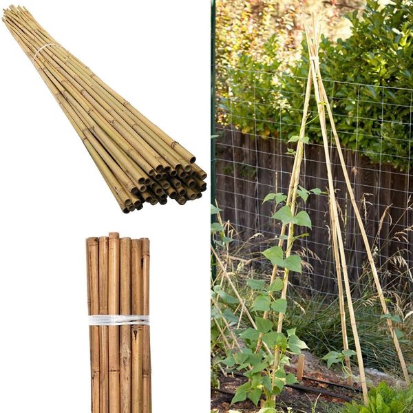 50 x 5FT Bamboo Canes 150 CM - Image 7