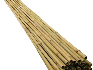 40 x 5FT Bamboo Canes 150 CM