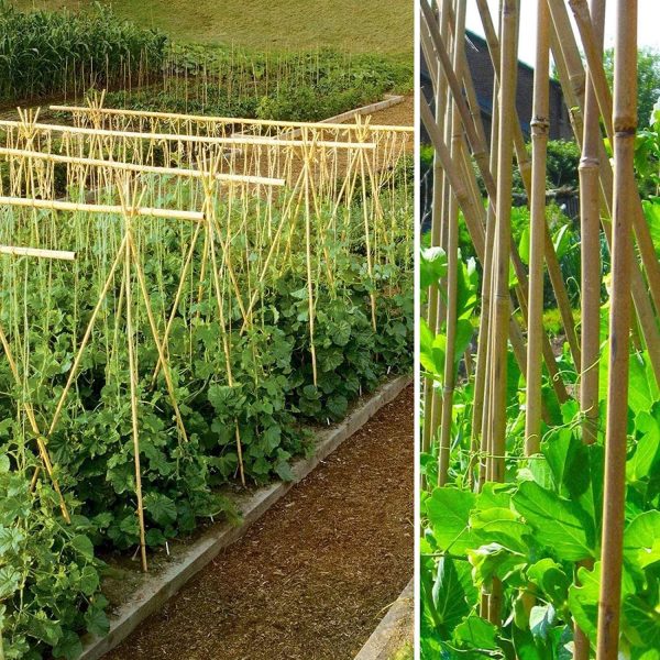 100 x 4FT Bamboo Canes Sticks 120cm - Image 7