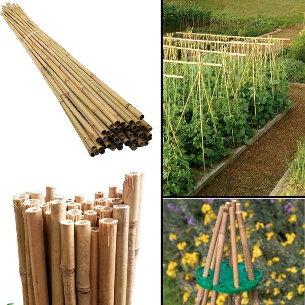 30 x 6FT (180cm) Bamboo Canes - Image 8