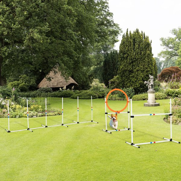 3-Piece Suit Portable Pet Agility Training Set for Dogs Obstacle Course - Image 2