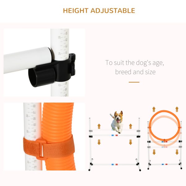 3-Piece Suit Portable Pet Agility Training Set for Dogs Obstacle Course - Image 6