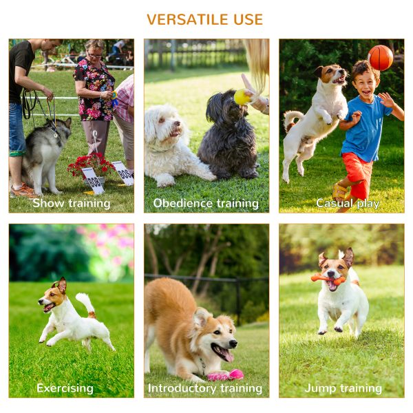 Outdoor 4 PCs Dog Pet Agility Training Equipment Backyard Starter Course Set - Image 5