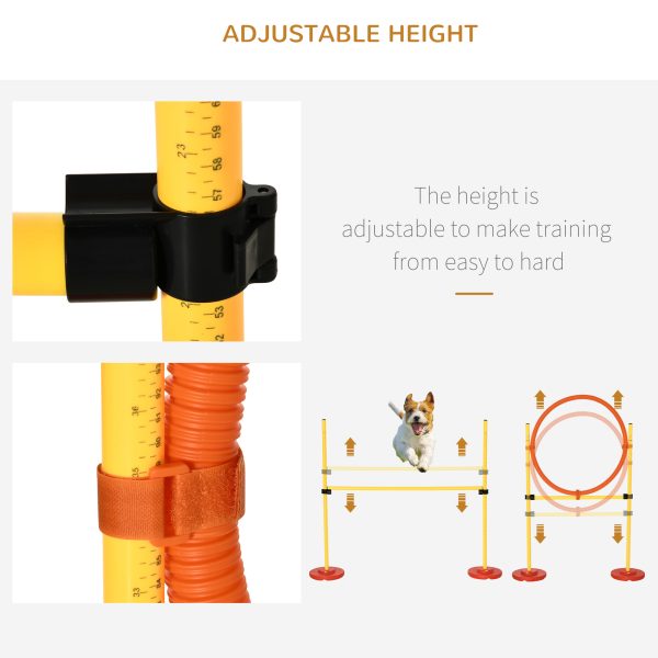 Outdoor 4 PCs Dog Pet Agility Training Equipment Backyard Starter Course Set - Image 8