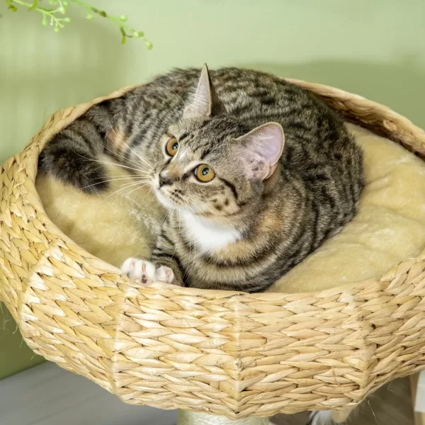 51cm Cat Tree Kitty Activity Centre w/ Top Bed, Toy Ball, Sisal Scratching Post - Image 7
