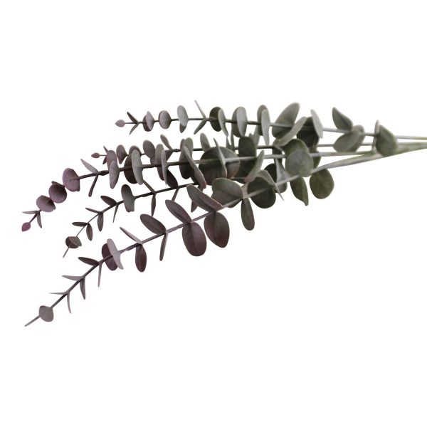 Blue & Blush Coloured Single Spray of Eucalyptus Leaves, 71cm - Image 3