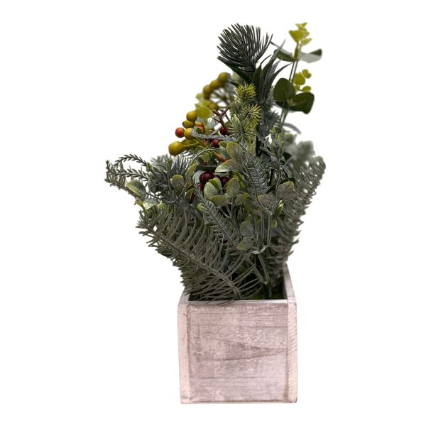 Selection Of Pine Leaves In Wooden Box 35cm - Image 3