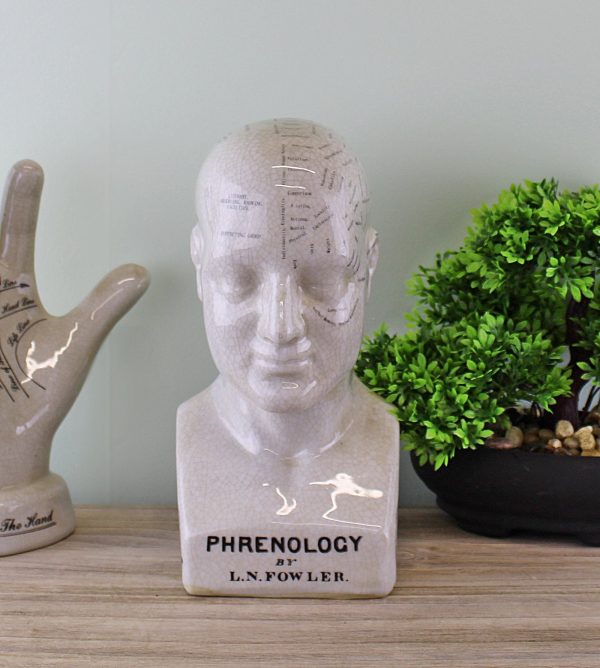 Medium Ceramic Phrenology Head, 25cm - Image 2