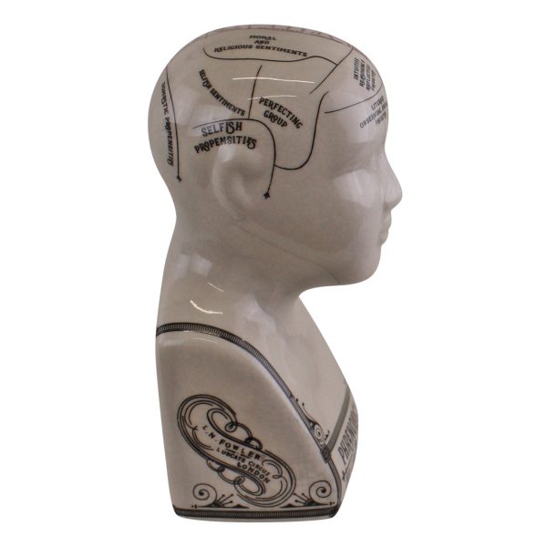 Small Ceramic Crackle Phrenology Head - Image 2