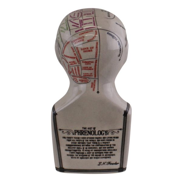 Small Ceramic Crackle Phrenology Head - Image 3