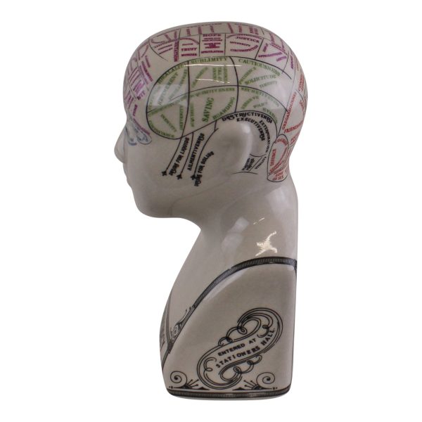 Small Ceramic Crackle Phrenology Head - Image 4