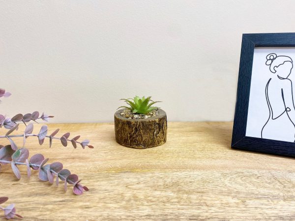 Bark Effect Pot and Succulent - Image 2