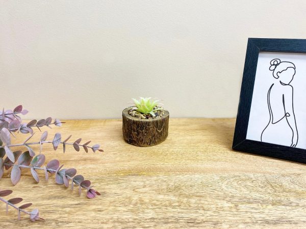 Bark Effect Pot and Succulent - Image 3