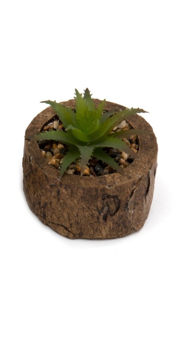 Bark Effect Pot and Succulent - Image 5