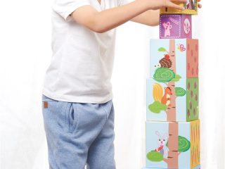 LELIN FOREST STACKING CUBE (1-10) L10213