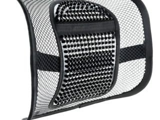 VINSANI NEW CAR LUMBAR SUPPORT