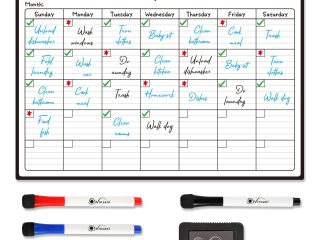 Vinsani Monthly Planner 4 Markers & Eraser 0000145