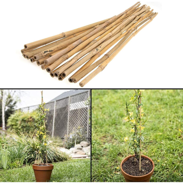 20 x 3FT Bamboo Canes Sticks 90CM - Image 3