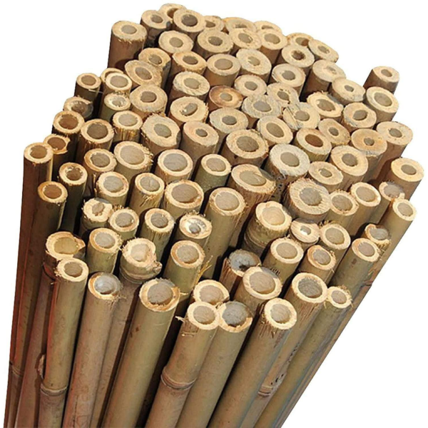 20 x 3FT Bamboo Canes Sticks 90CM - Image 5