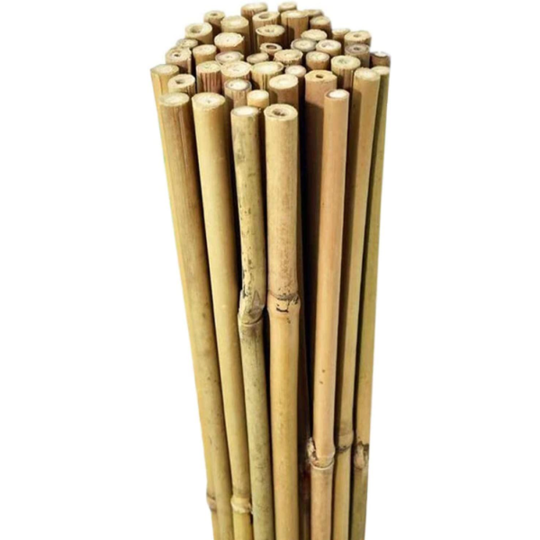 10 x 5FT Bamboo Canes 150 CM - Image 5