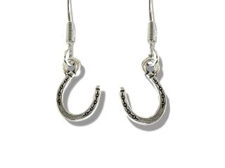 Horseshoe Drop Earrings