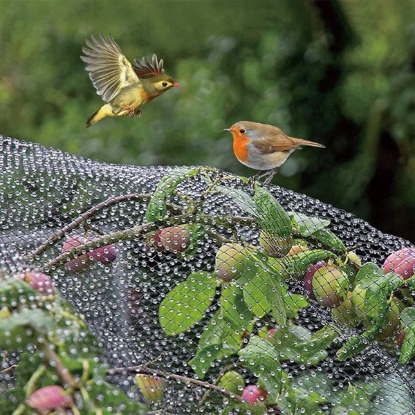 12 X GARDEN NETTING 2M X 10M - Image 3