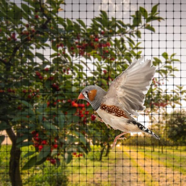 12 X GARDEN NETTING 2M X 10M - Image 7