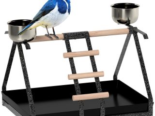 Portable Bird Stand Resting Stainless Steel Base Perch Ladder Bowls