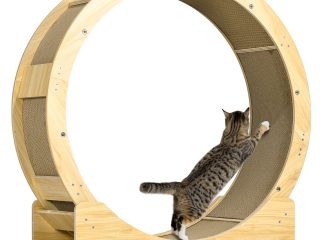 PawHut Cat Wheel with Brake, Scratching Pads for Health, Oak
