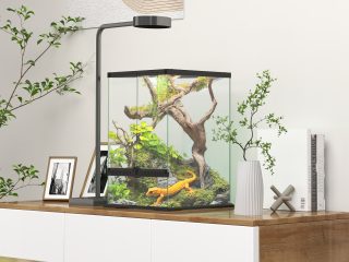 PawHut Glass Reptile Terrarium, 40L Vivarium for Lizards Frogs Snakes Turtles