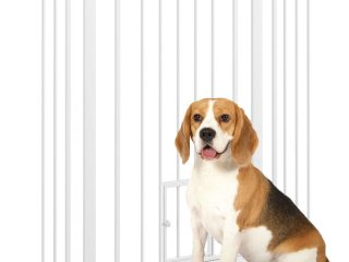 PawHut Extra Tall Dog Gate with Cat Door Auto Close for Stairs 74-101 cm Wide