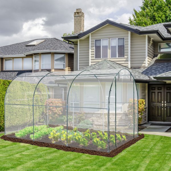 Walk in Transparent Greenhouse, Steel Frame - Image 2