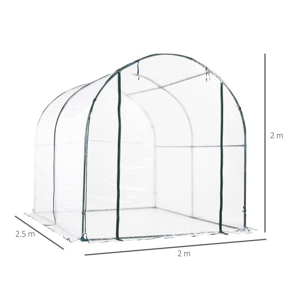 Walk in Transparent Greenhouse, Steel Frame - Image 3