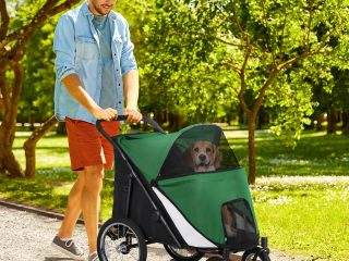 PawHut Pet Stroller Foldable Design with Cushion for M and L Dogs, Dark Green