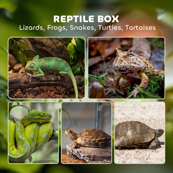 PawHut Glass Reptile Terrarium, 40L Vivarium for Lizards Frogs Snakes Turtles - Image 2