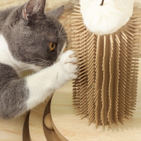 PawHut 49cm Cat Scratching Post with Interactive Track Ball Toy for Indoor - Image 8