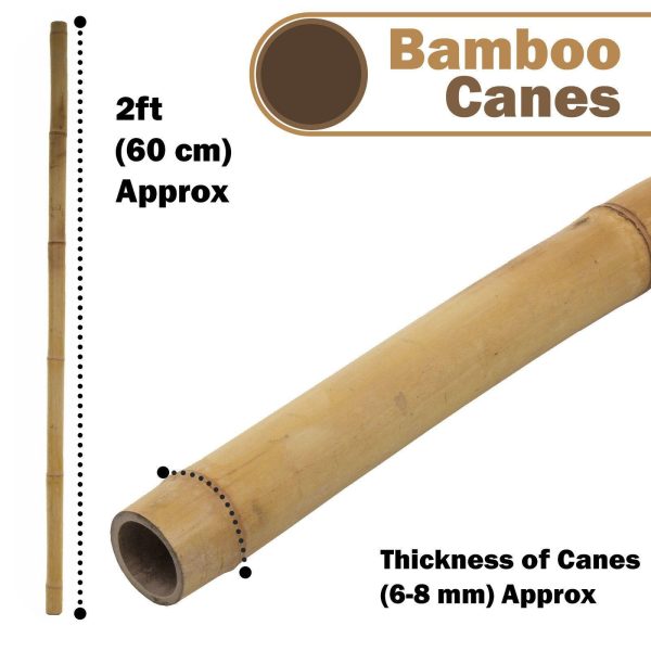 200 x 3FT Bamboo Canes Sticks 90CM - Image 7