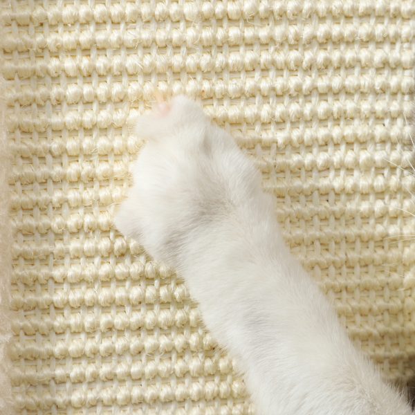 PawHut 67cm Cat Scratching Post 3 in 1 Cat Scratcher w/ Track Ball Toy - Image 8