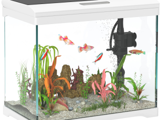 PawHut 27L Glass Fish Tank with Filter System, LED Light, Water Pump, White