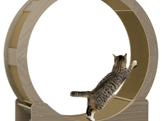 PawHut Cat Wheel with Brake, Scratching Pads - Walnut Brown