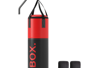SPORTNOW Unfilled Punch Bag with Boxing Gloves and Wall Mounted Bracket
